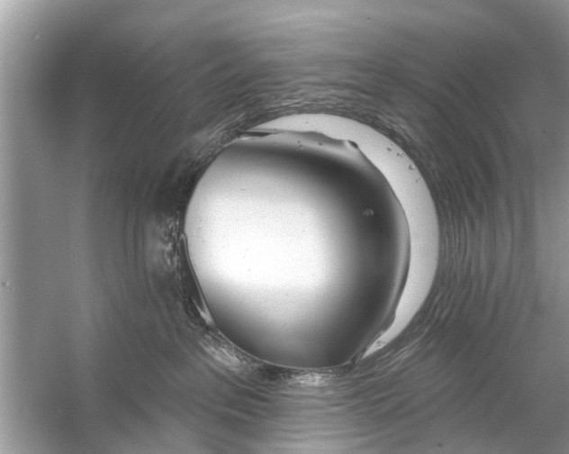 X0000056010237200509162352