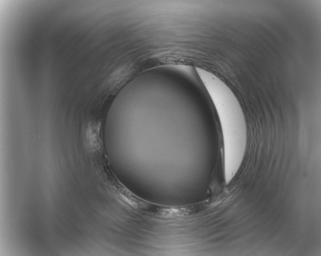 X0000056010239200509162352