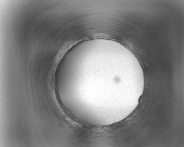 X0000056010241200509162351