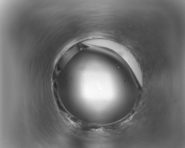 X0000056010244200509162351