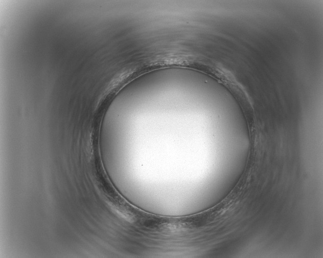 X0000056010250200509162351