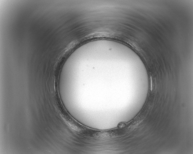 X0000056010253200509162351