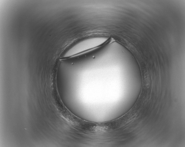 X0000056010255200509162351