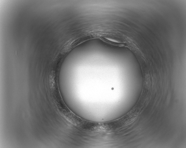 X0000056010259200509162351