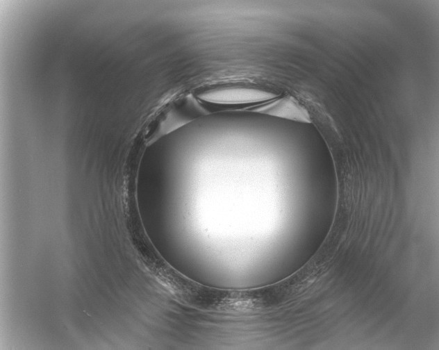 X0000056010260200509162351