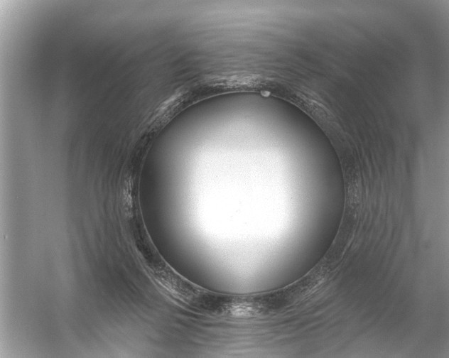 X0000056010264200509162352