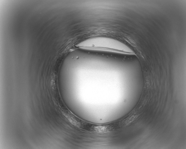 X0000056010265200509162352