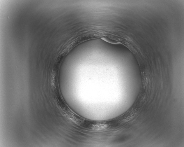 X0000056010266200509162352