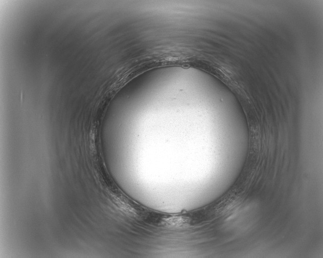 X0000056010269200509162352