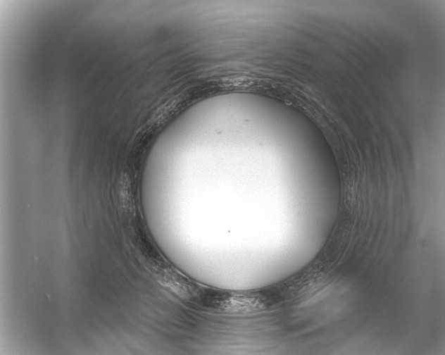 X0000056010270200509162352