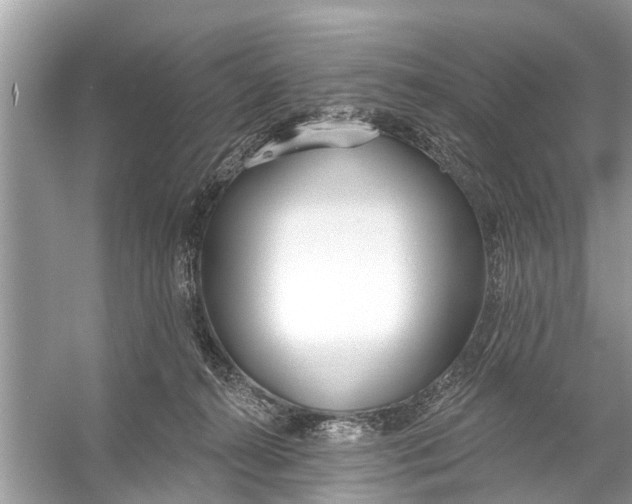 X0000056010272200509162352