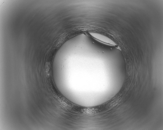 X0000056010273200509162352