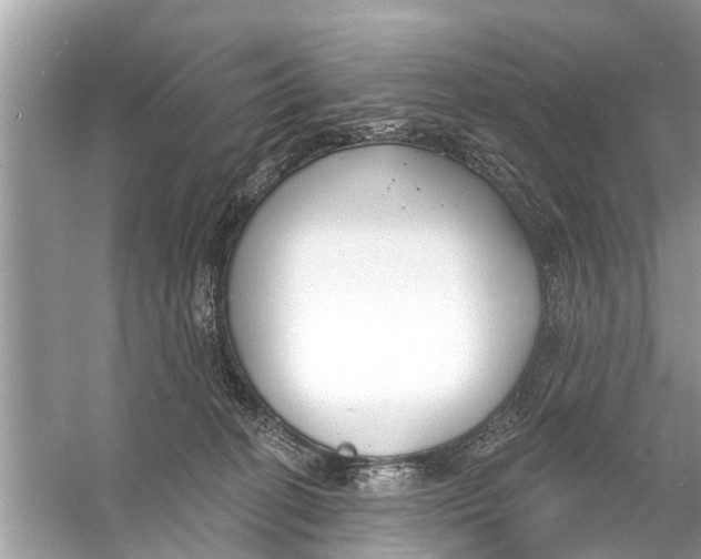 X0000056010274200509162352