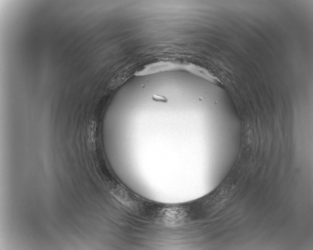 X0000056010275200509162352