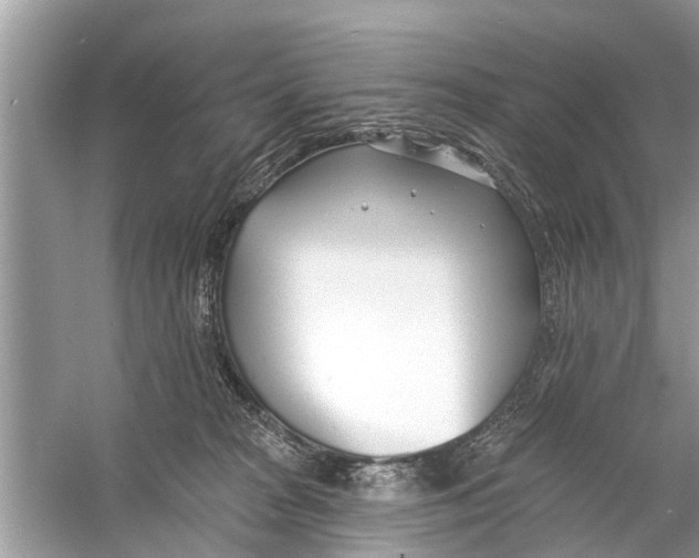 X0000056010277200509162352