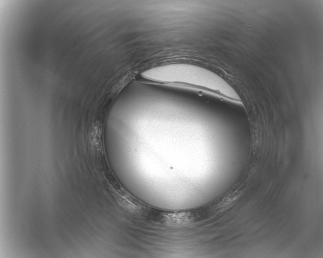 X0000056010281200509162352