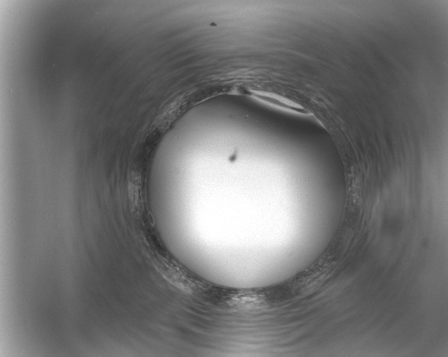 X0000056010283200509162352