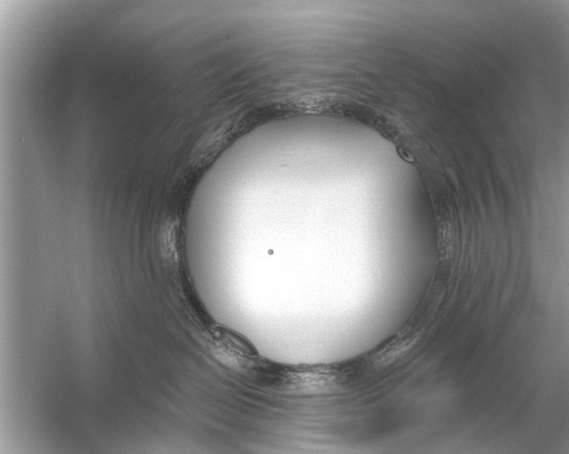 X0000056010286200509162352