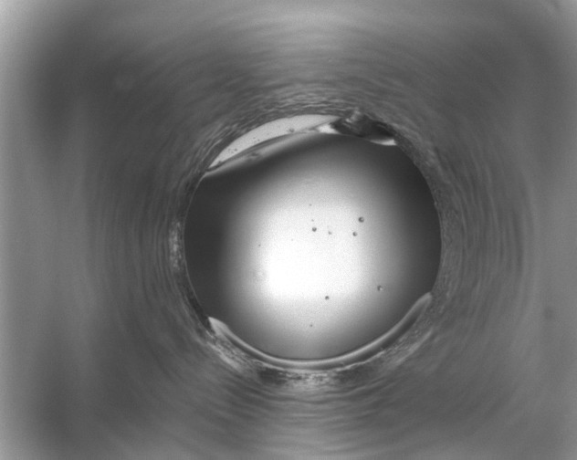 X0000056010288200509162352