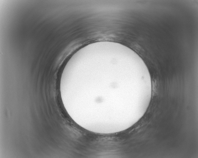 X0000056010291200509162351