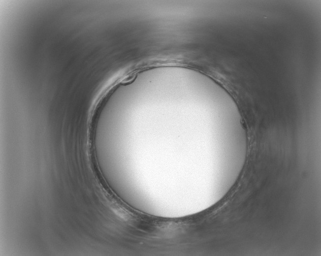 X0000056010293200509162351