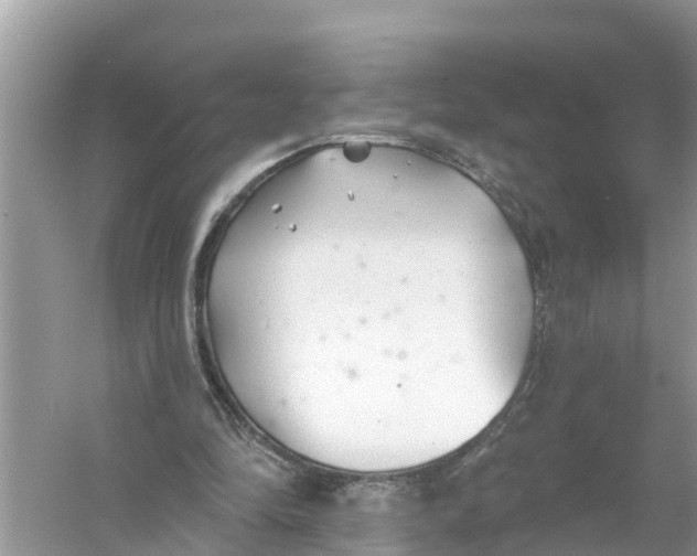 X0000056010294200509162351