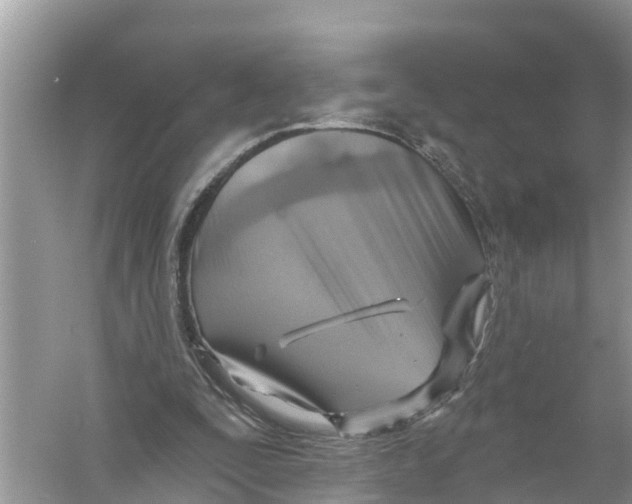 X0000056010295200509162351