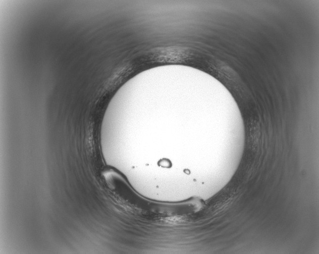 X0000056010312200509162351