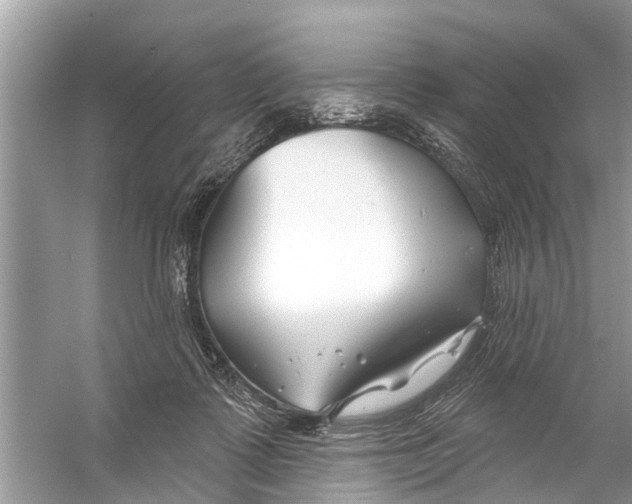 X0000056010315200509162351