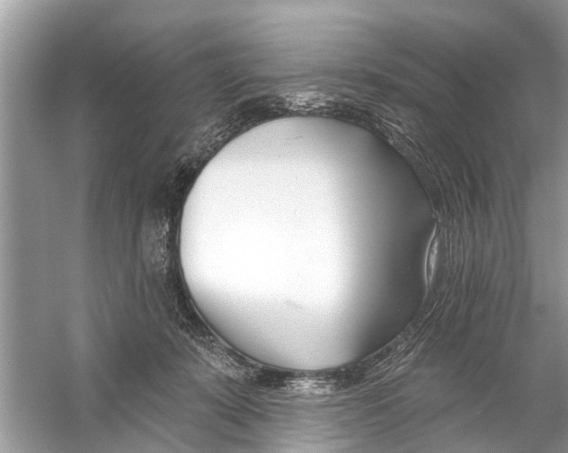 X0000056010319200509162351