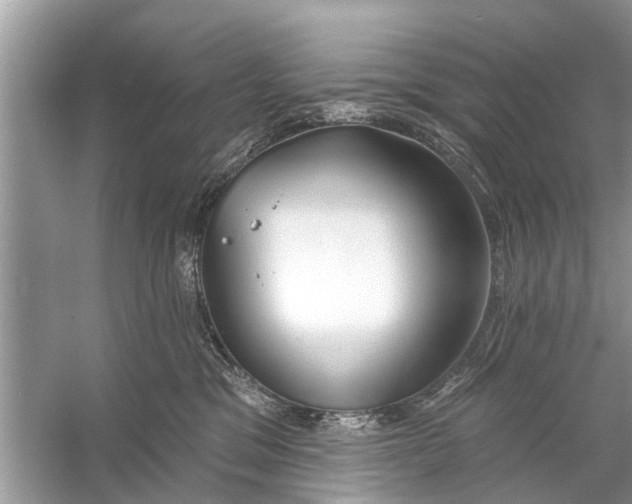 X0000056010329200509162350