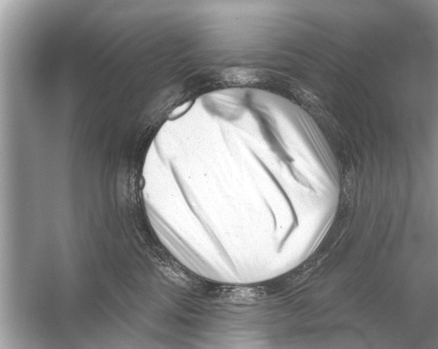 X0000056010330200509162350