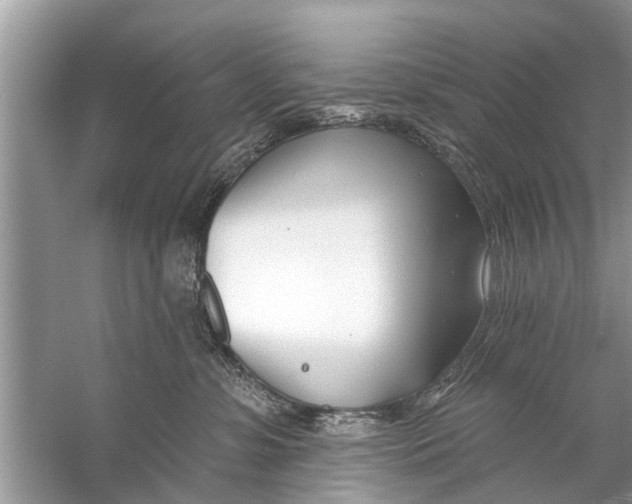 X0000056010331200509162350