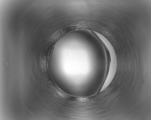 X0000056010333200509162350