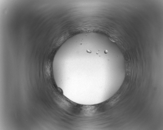 X0000056010334200509162350