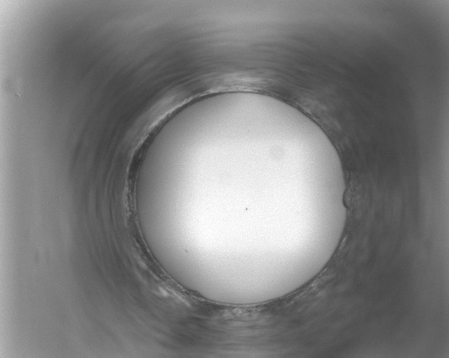 X0000056010338200509162350