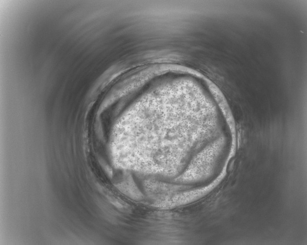 X0000056010339200509162350