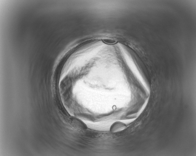 X0000056010343200509162350