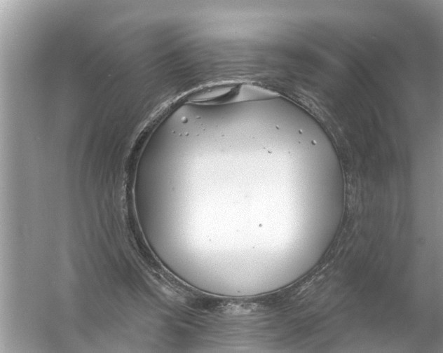 X0000056010346200509162350