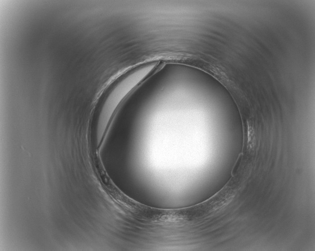 X0000056010348200509162350