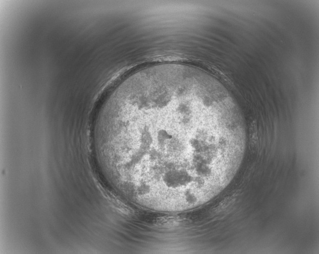 X0000056010351200509162350