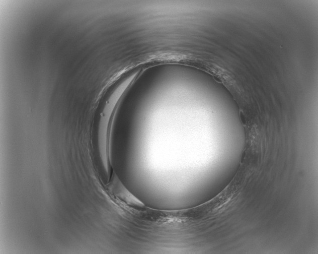 X0000056010352200509162350