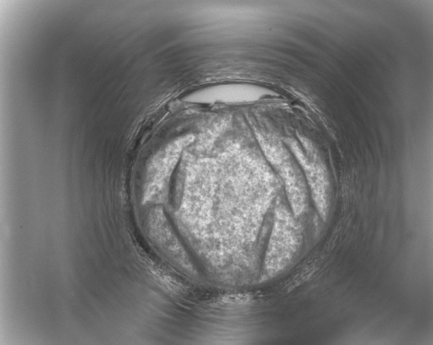 X0000056010353200509162350