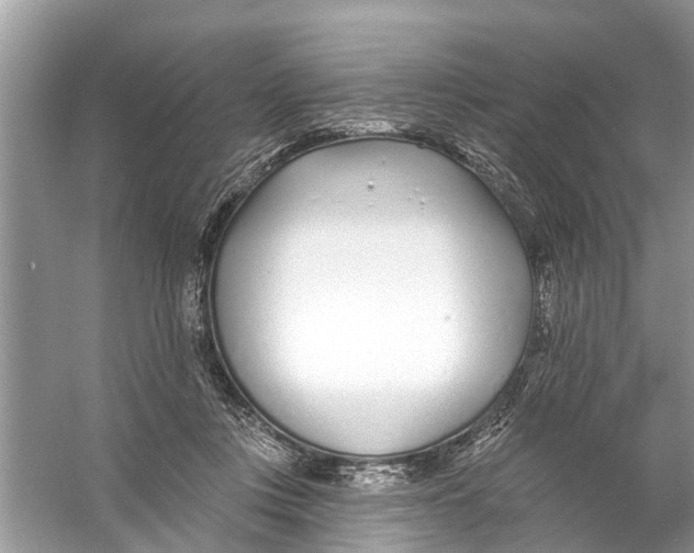 X0000056010359200509162350