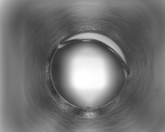 X0000056010360200509162350