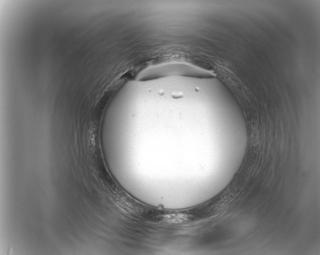 X0000056010363200509162350