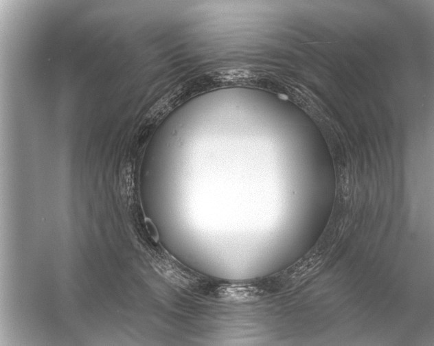 X0000056010372200509162350