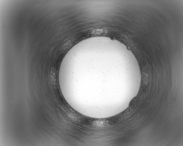 X0000056010375200509162350