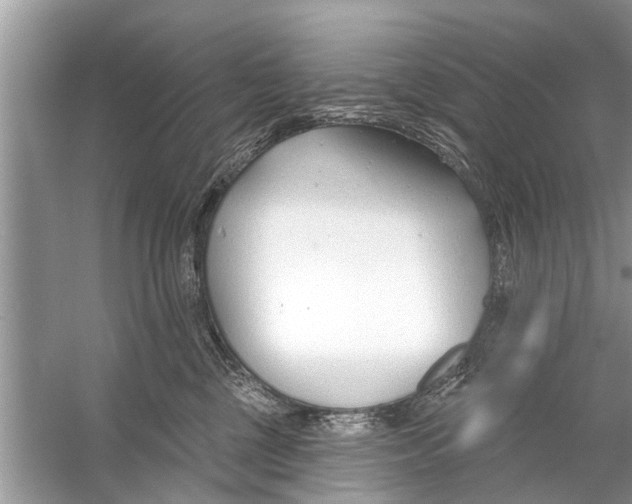 X0000056010377200509162350