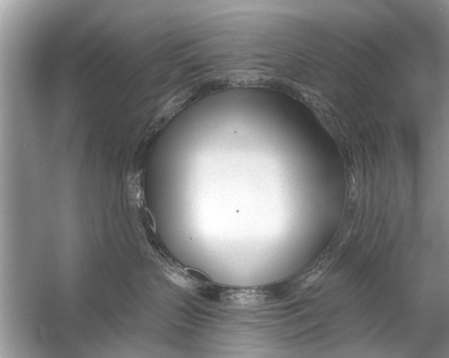 X0000056010383200509162350